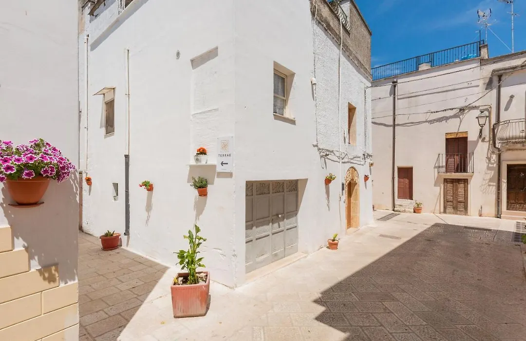 Terrae Rooms Rental-1