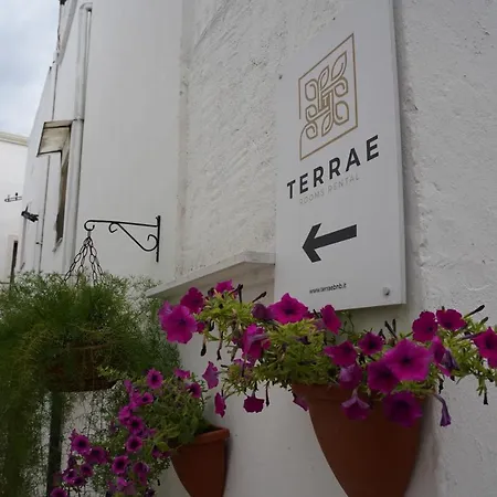 Terrae Rooms Rental-2