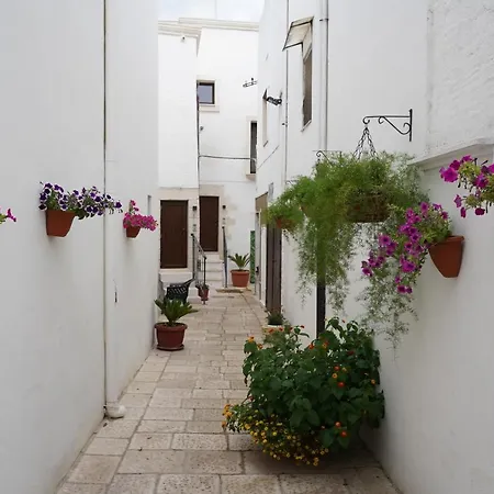 Terrae Rooms Rental-3